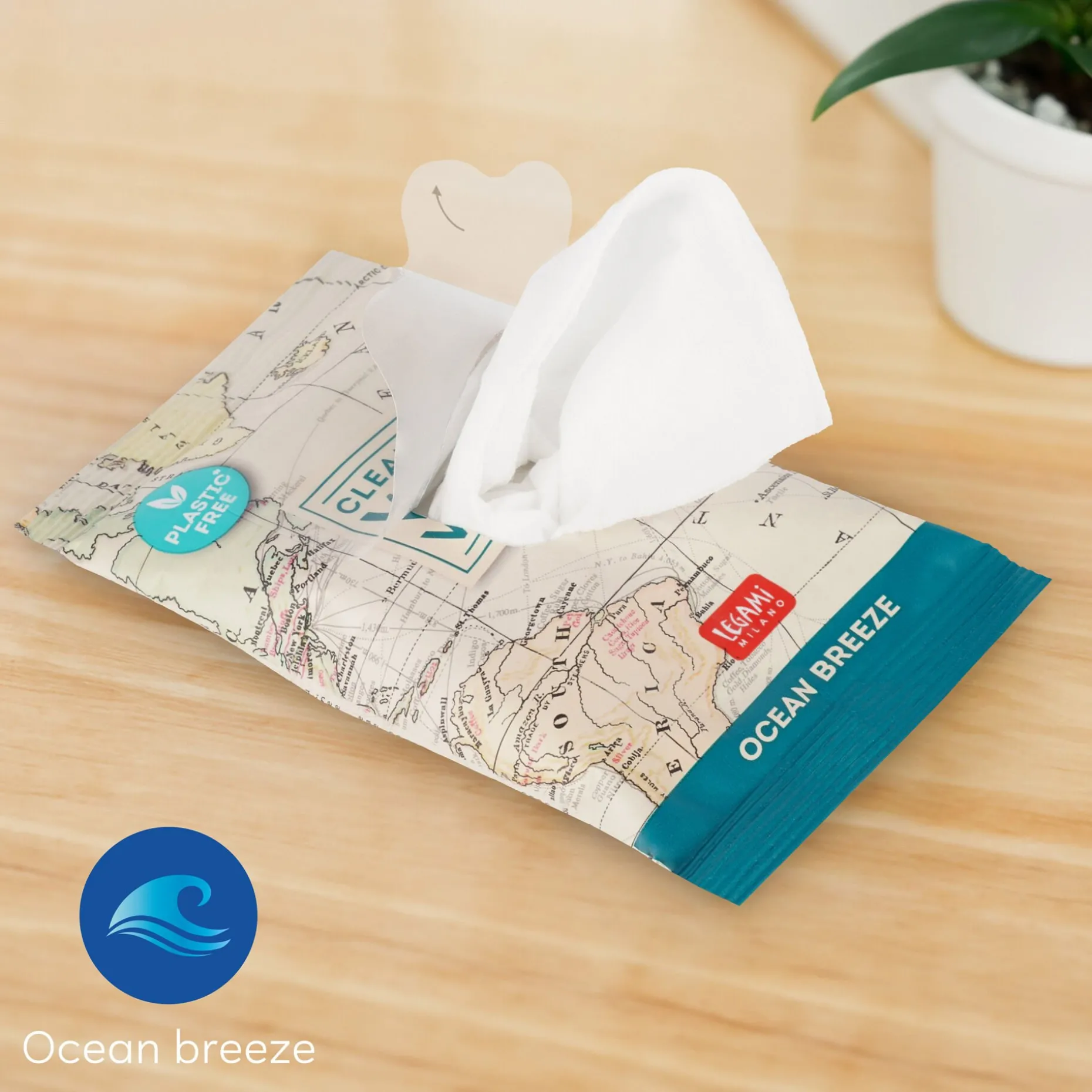 10 Lingettes Nettoyantes Humides Pour les Mains