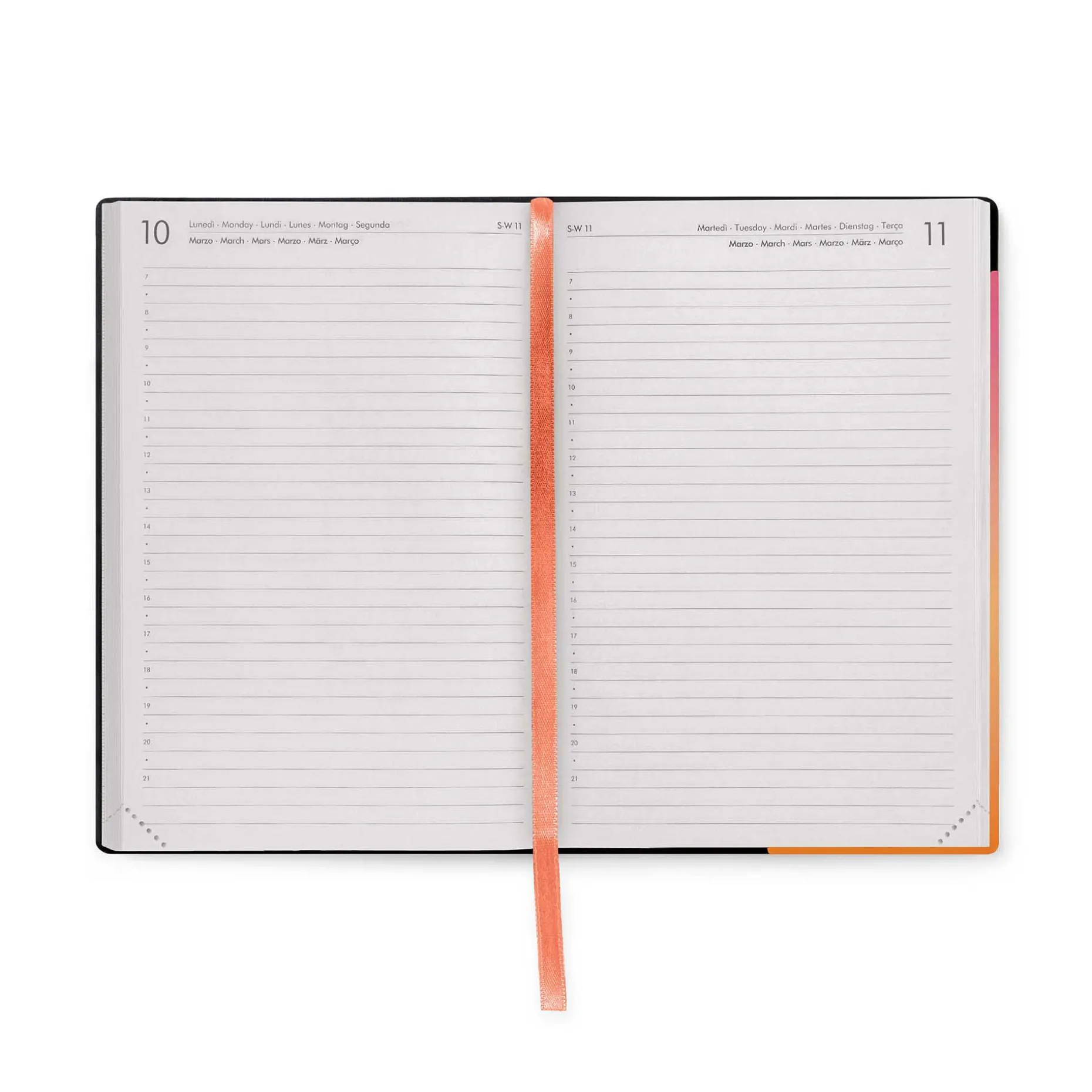 Agenda 12 Mois Journalier - Medium - 2025