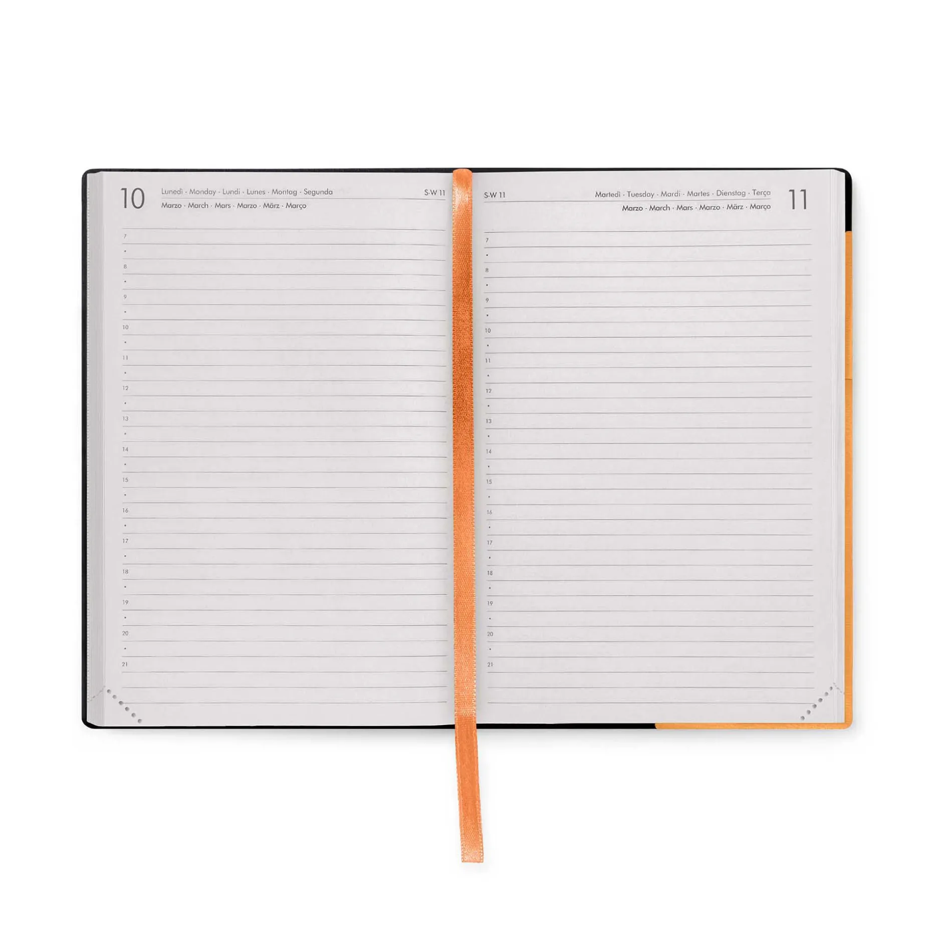 Agenda 12 Mois Journalier - Medium - 2025