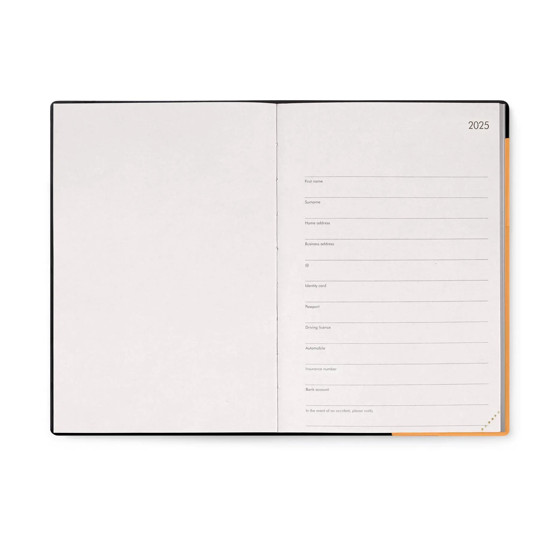 Agenda 12 Mois Journalier - Medium - 2025