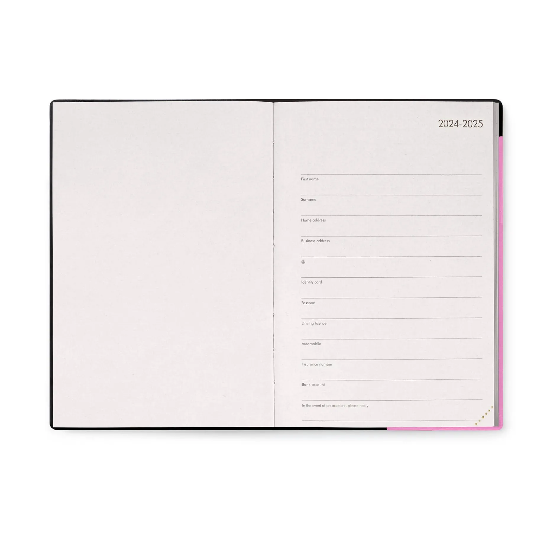 Agenda 12 Mois Journalier - Medium - 2025