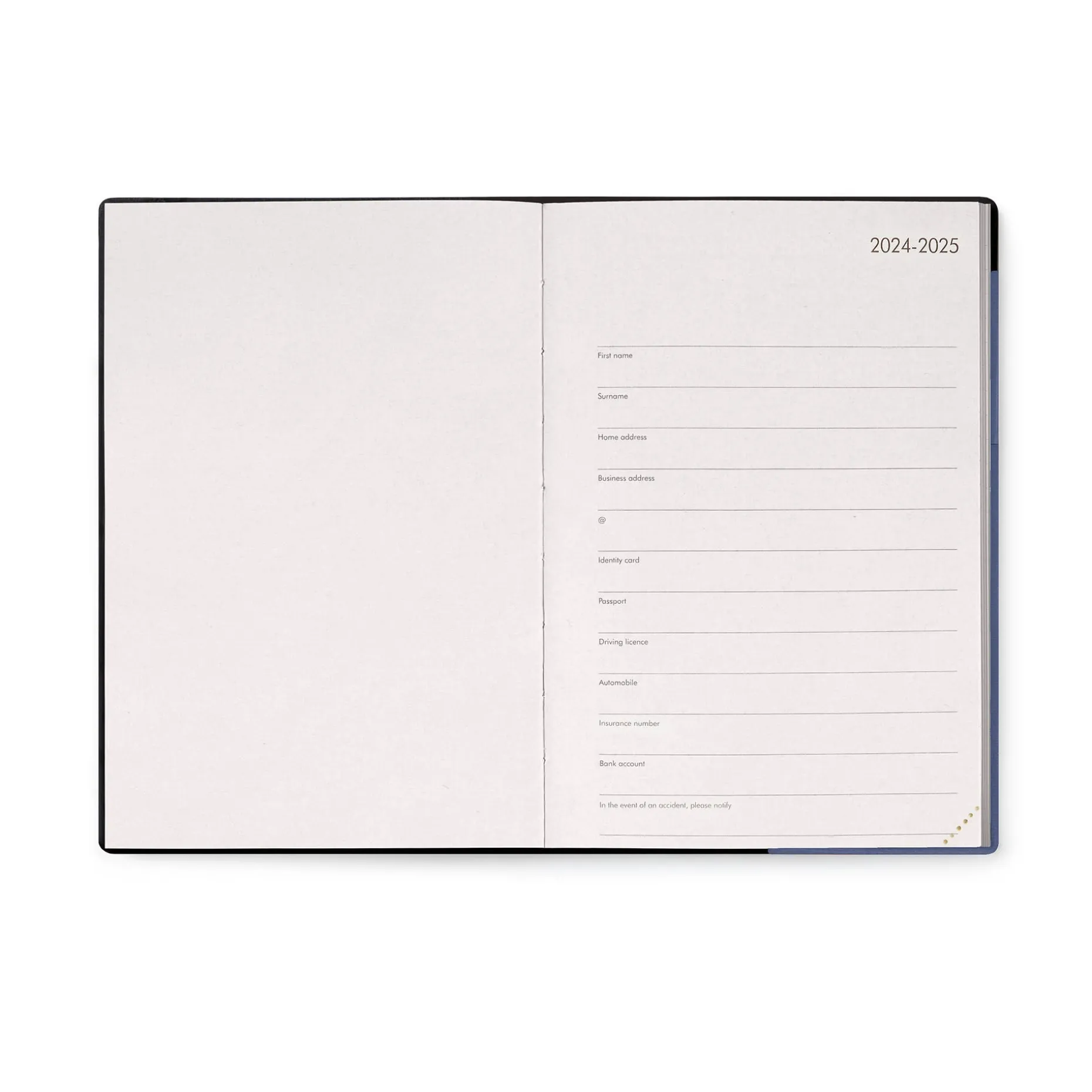 Agenda 12 Mois Journalier - Medium - 2025