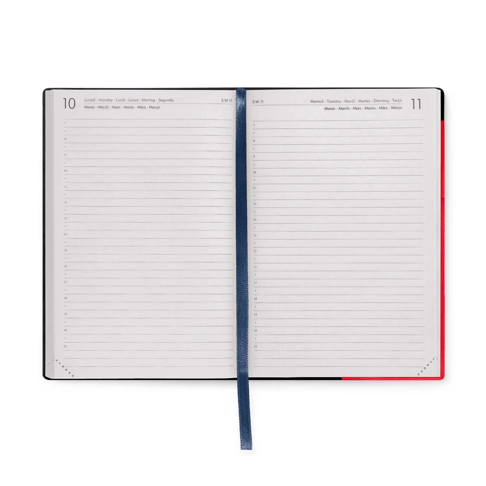 Agenda 12 Mois Journalier - Medium - 2025