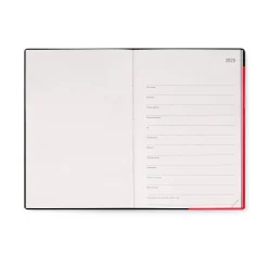 Agenda 12 Mois Journalier - Medium - 2025