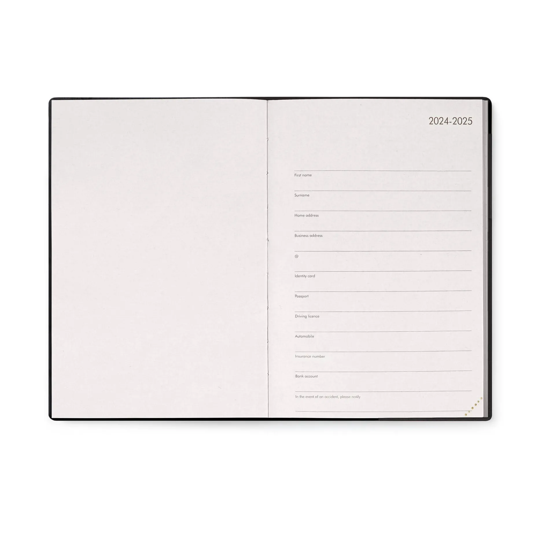 Agenda 12 Mois Journalier - Medium - 2025