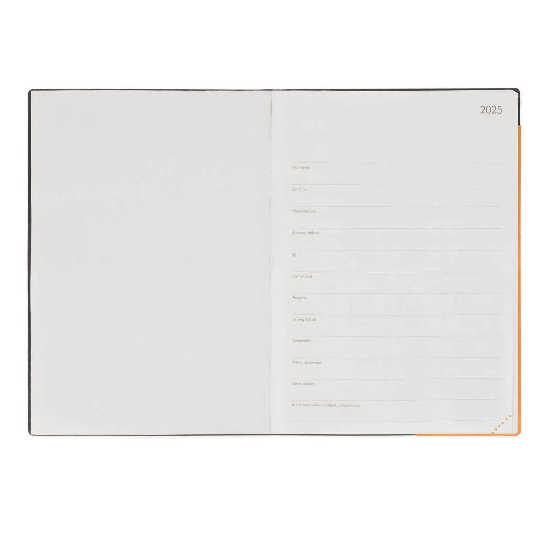 Agenda 12 Mois Journalier - Large - 2025