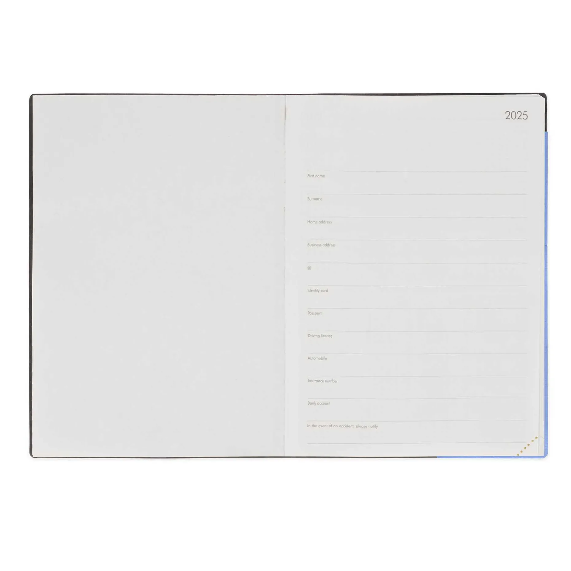 Agenda 12 Mois Journalier - Large - 2025