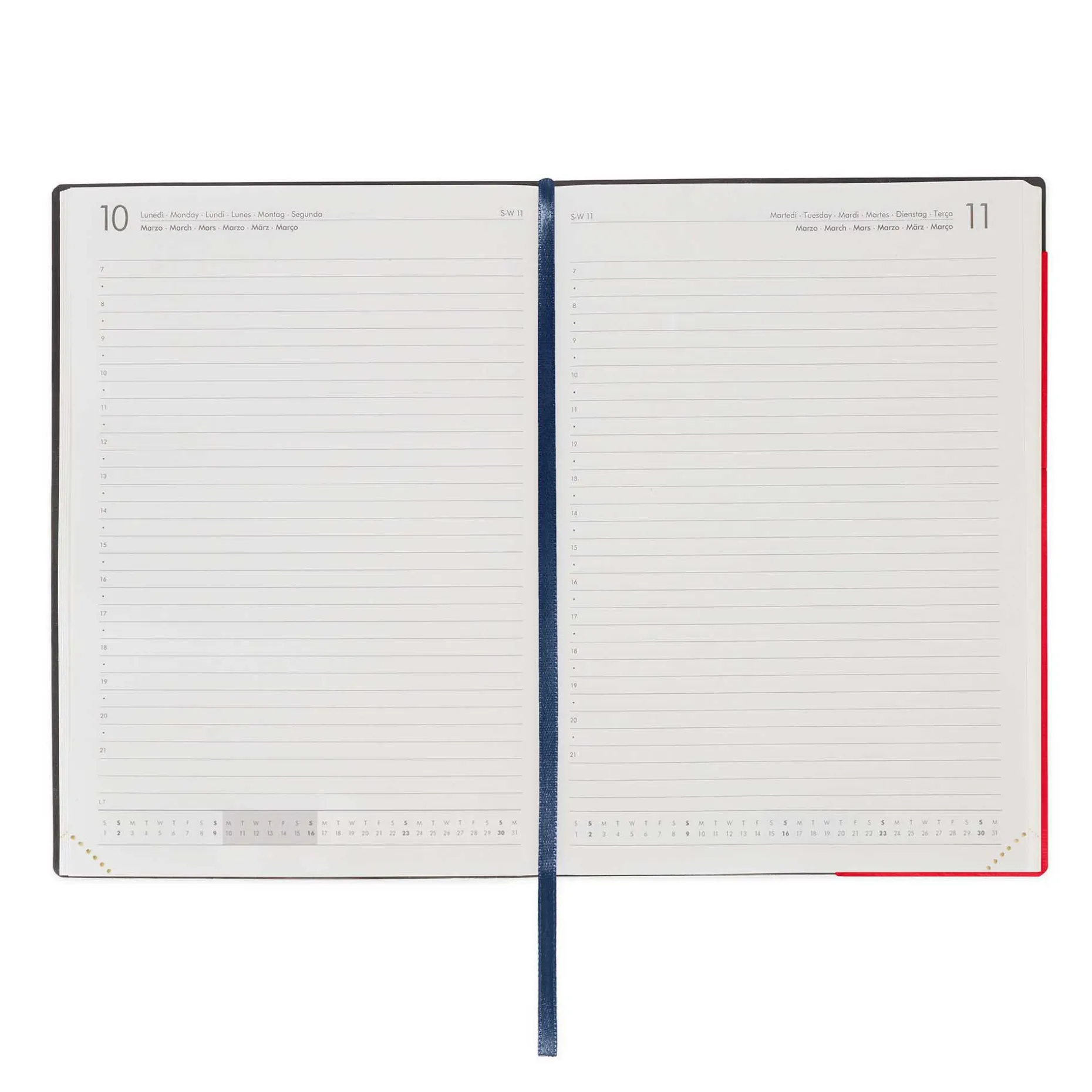 Agenda 12 Mois Journalier - Large - 2025