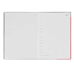 Agenda 12 Mois Journalier - Large - 2025