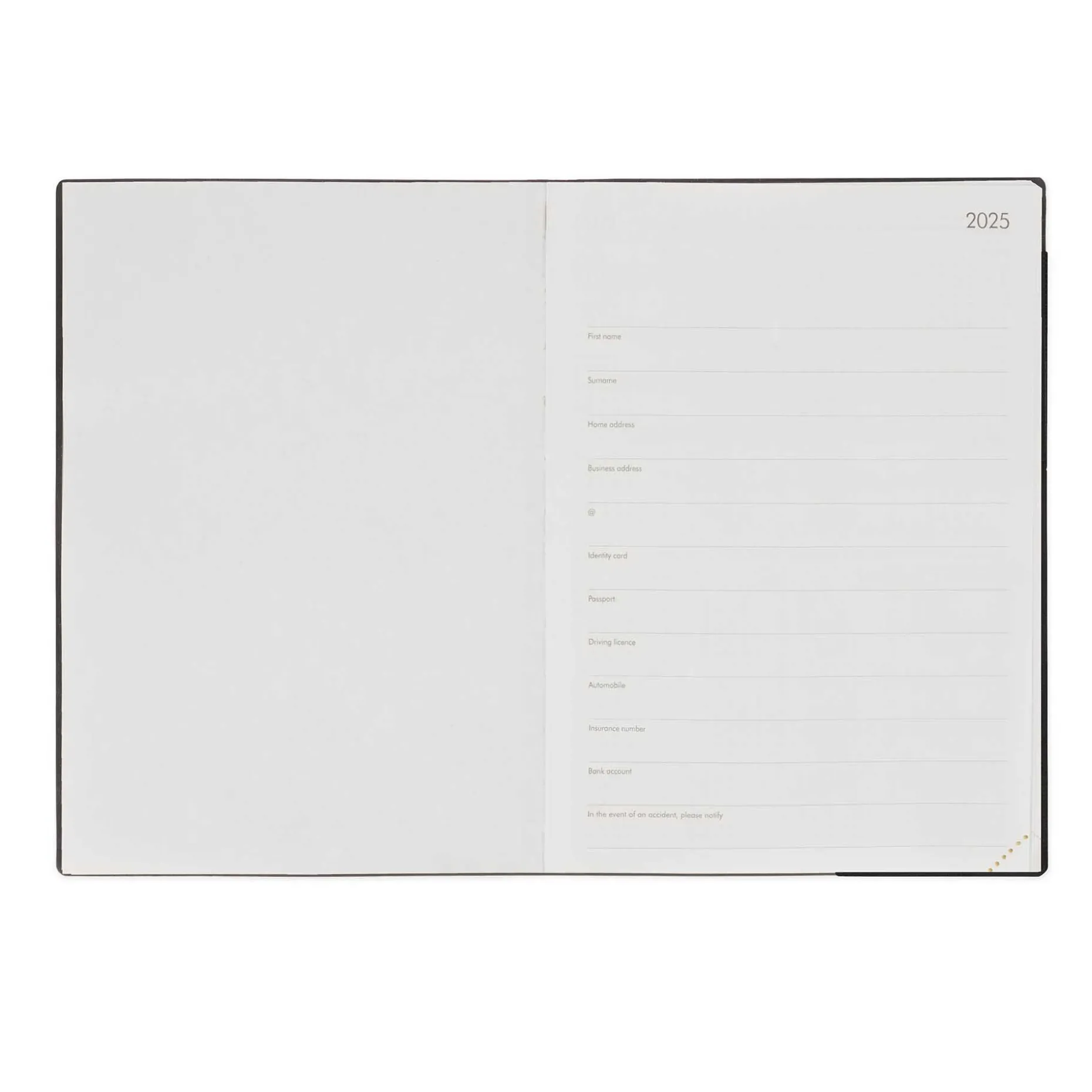 Agenda 12 Mois Journalier - Large - 2025