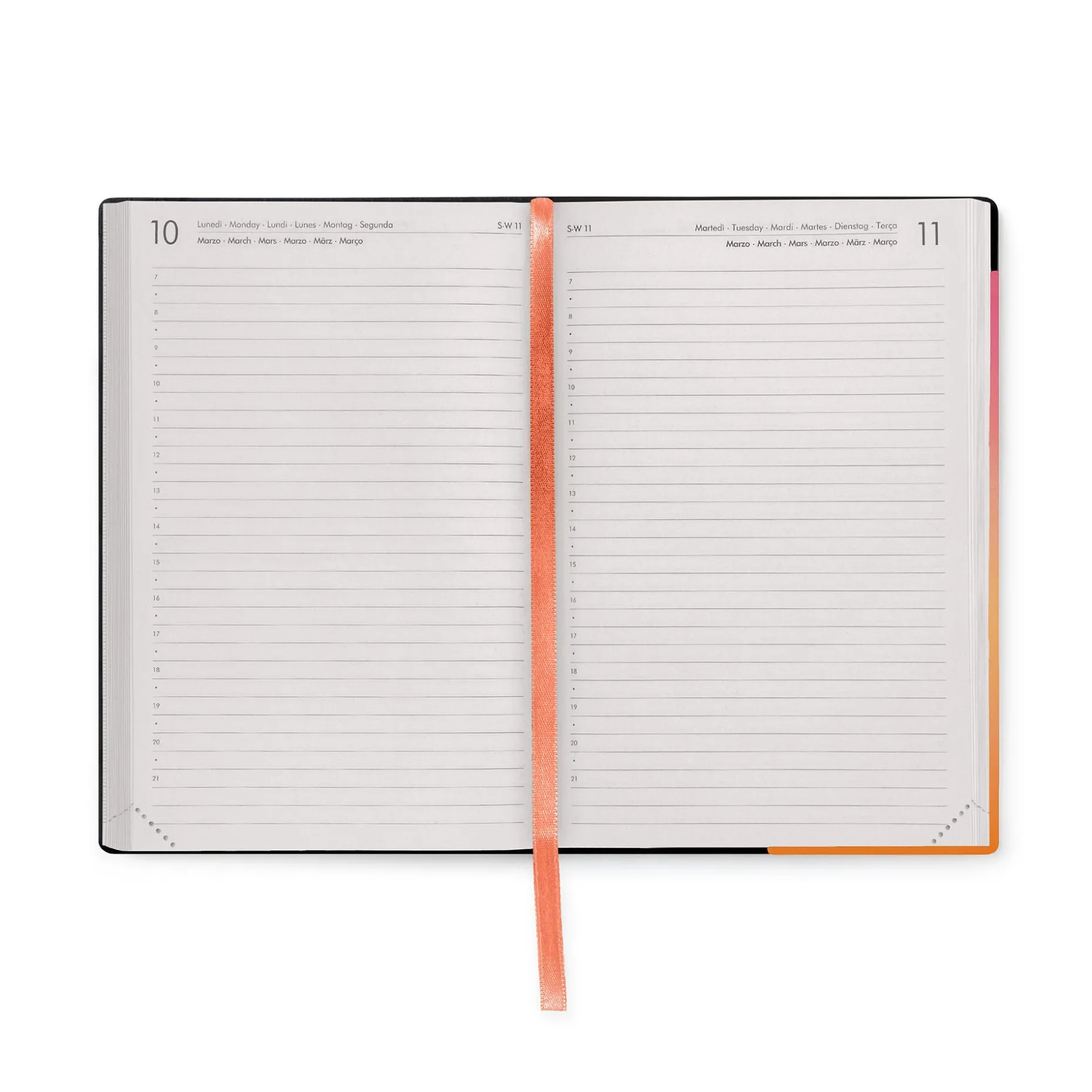 Agenda 16 Mois Journalier - Medium - 2024/2025