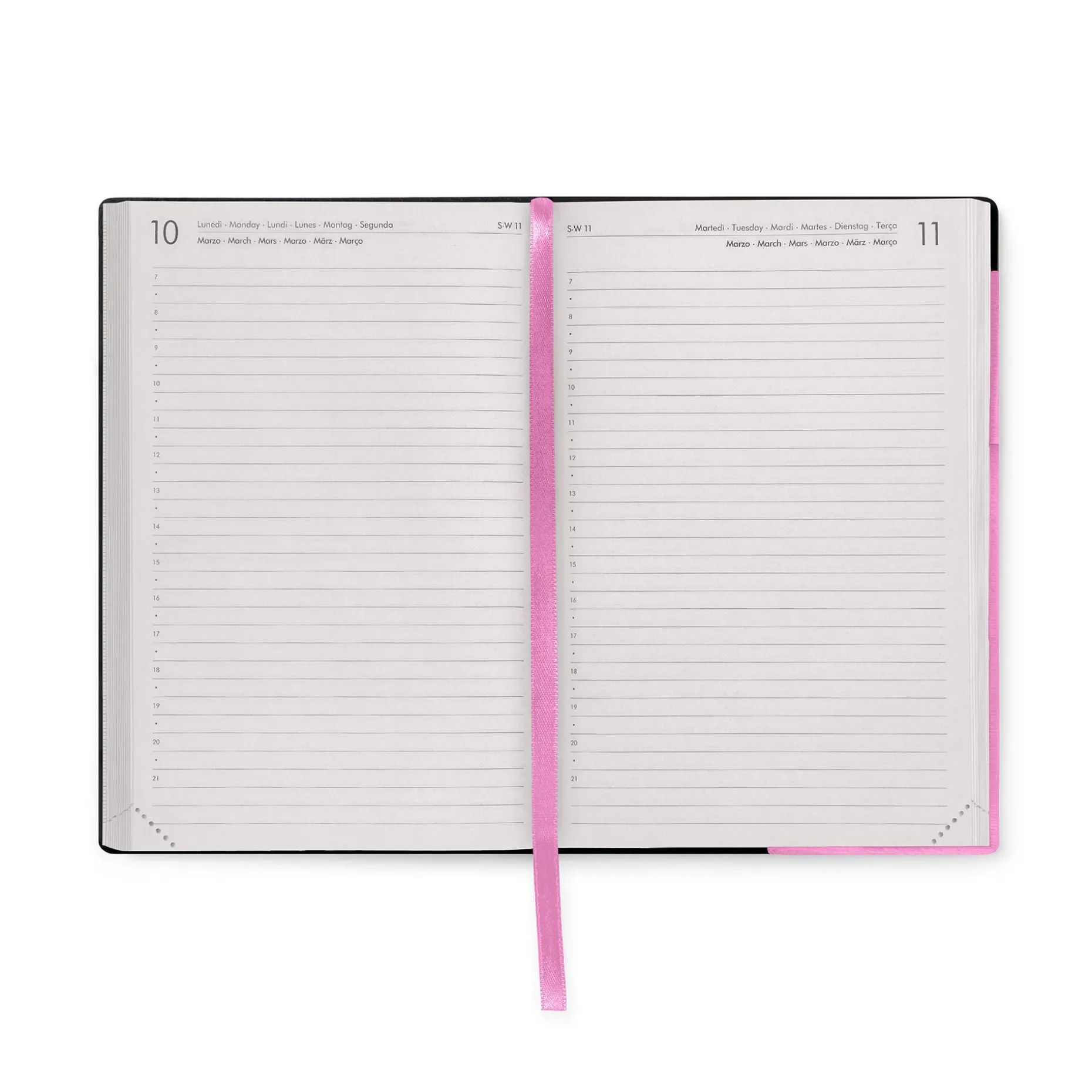 Agenda 16 Mois Journalier - Medium - 2024/2025