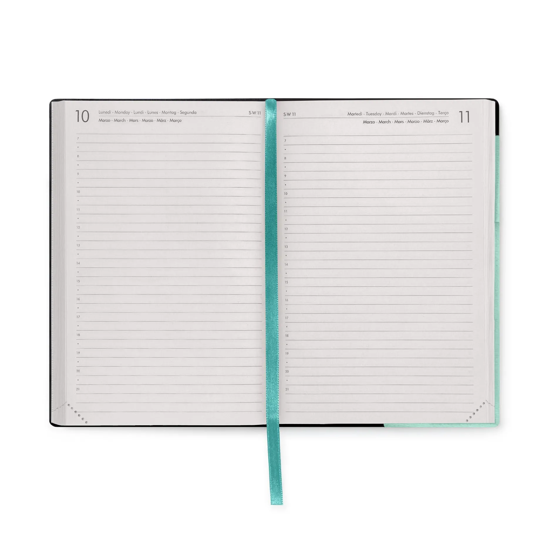 Agenda 16 Mois Journalier - Medium - 2024/2025
