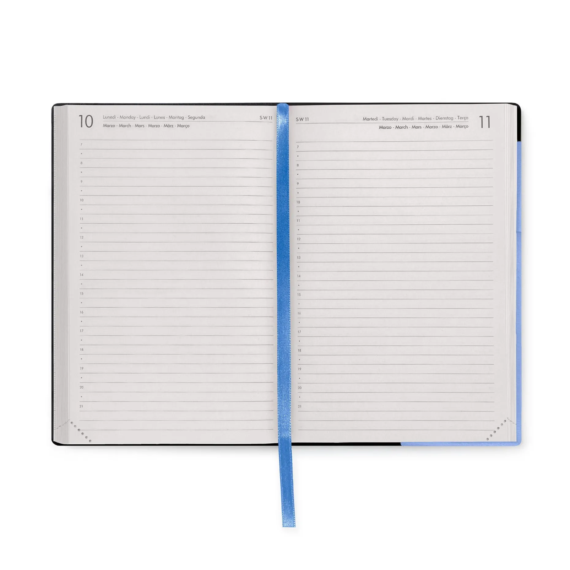 Agenda 16 Mois Journalier - Medium - 2024/2025