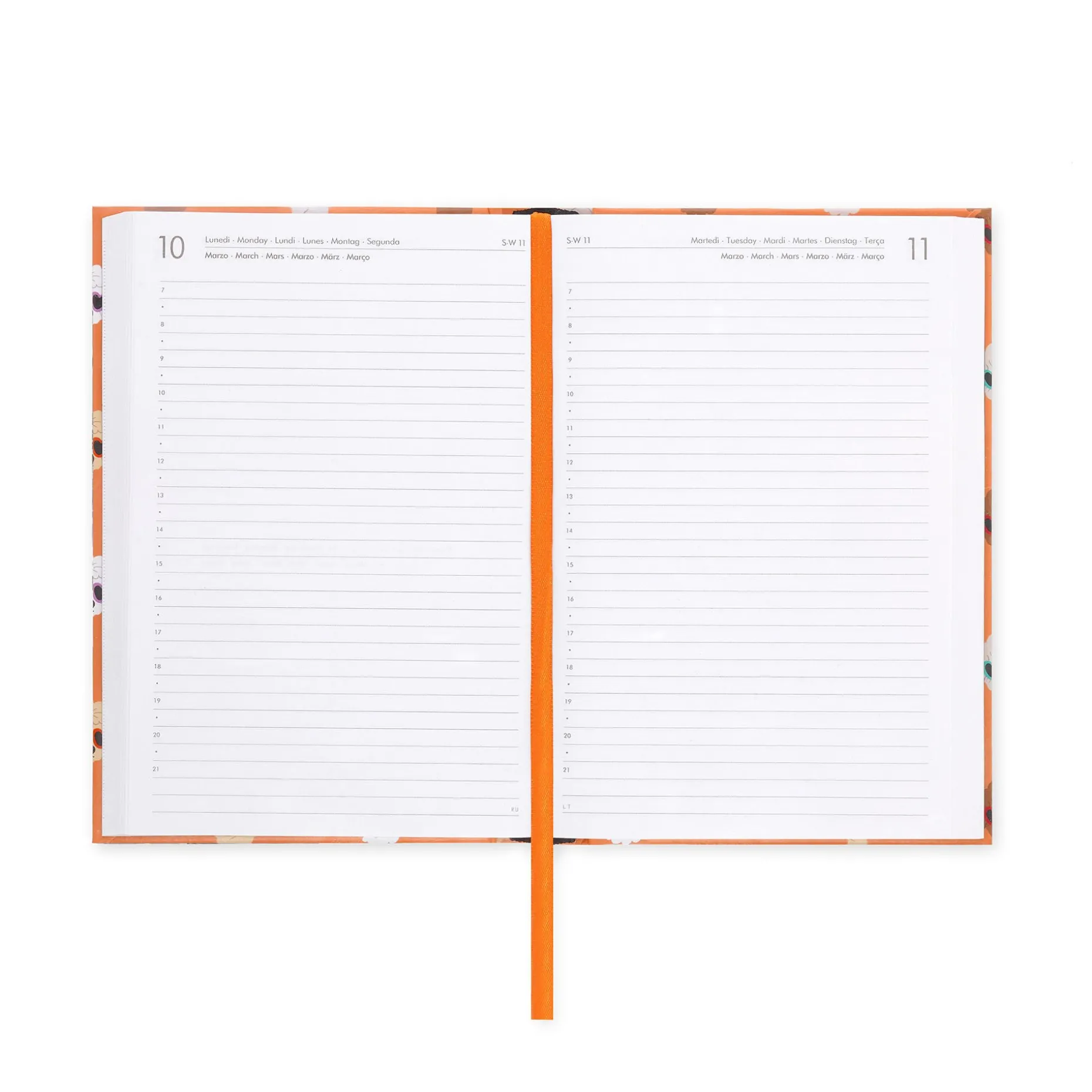 Agenda 16 Mois Journalier - Medium - 2024/2025