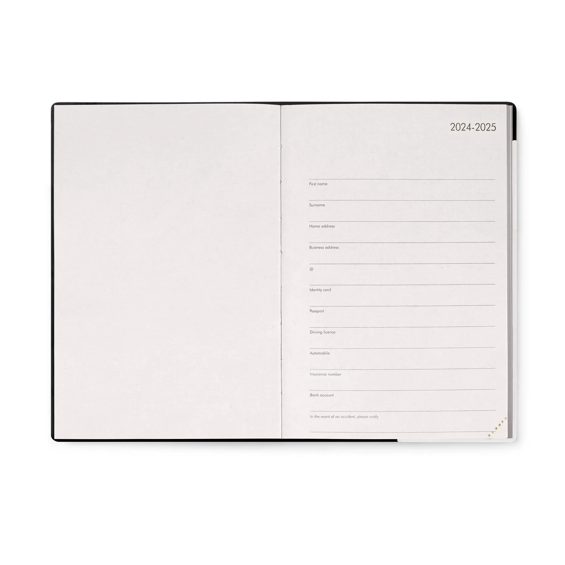 Agenda 18 Mois Semainier - Medium - Avec Section pour Notes - 2024/2025
