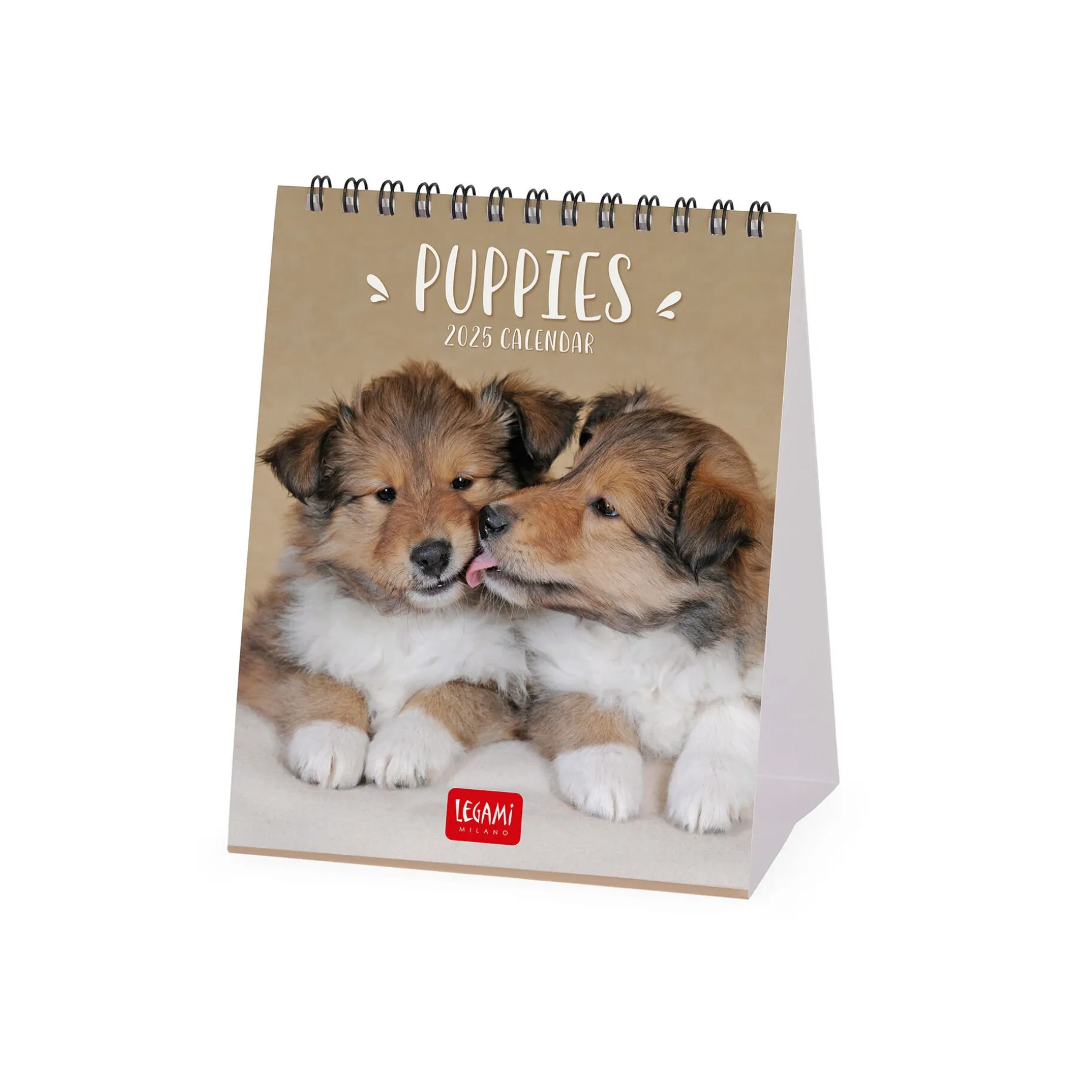 Calendrier de Table 2025 - 12 x 14,5 cm