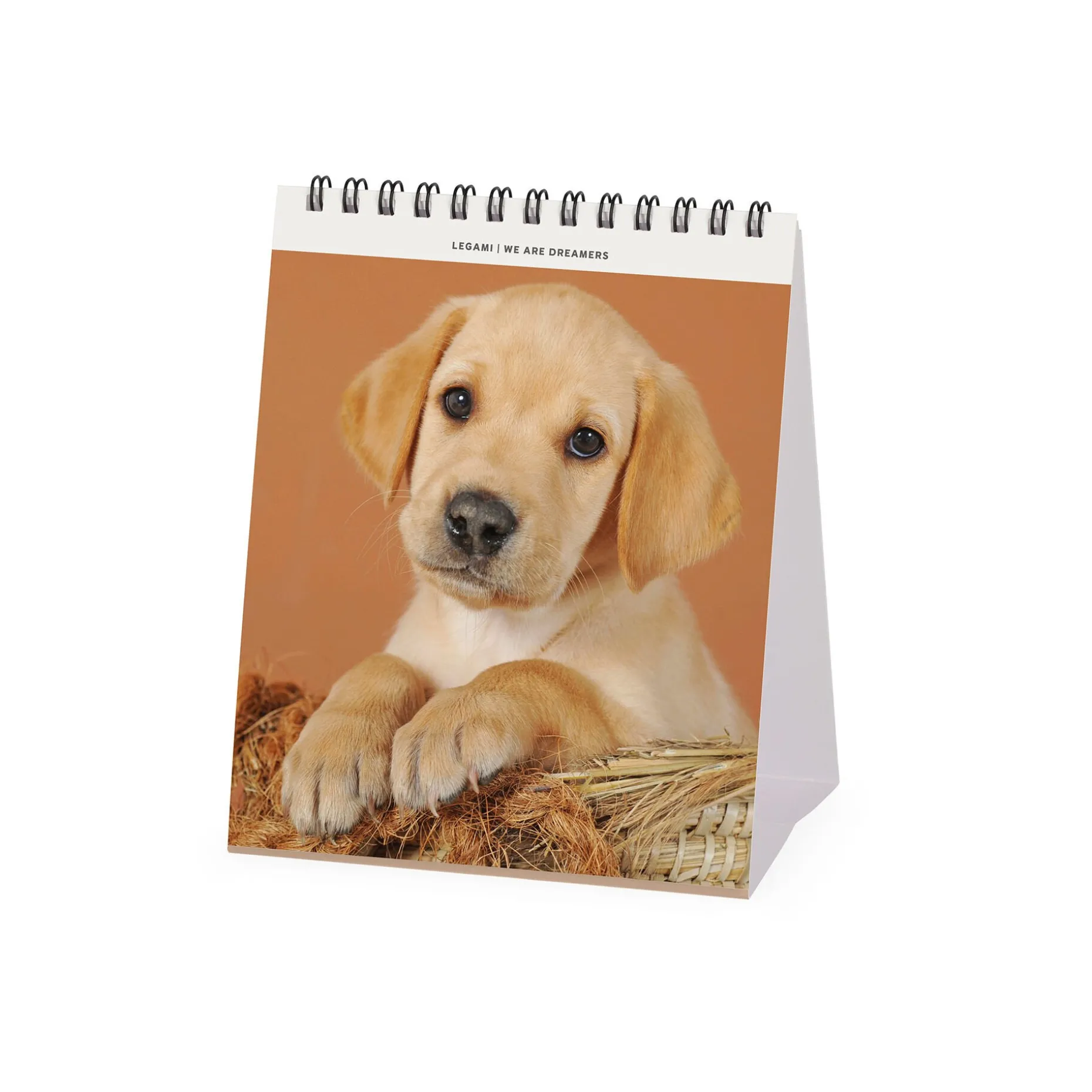 Calendrier de Table 2025 - 12 x 14,5 cm