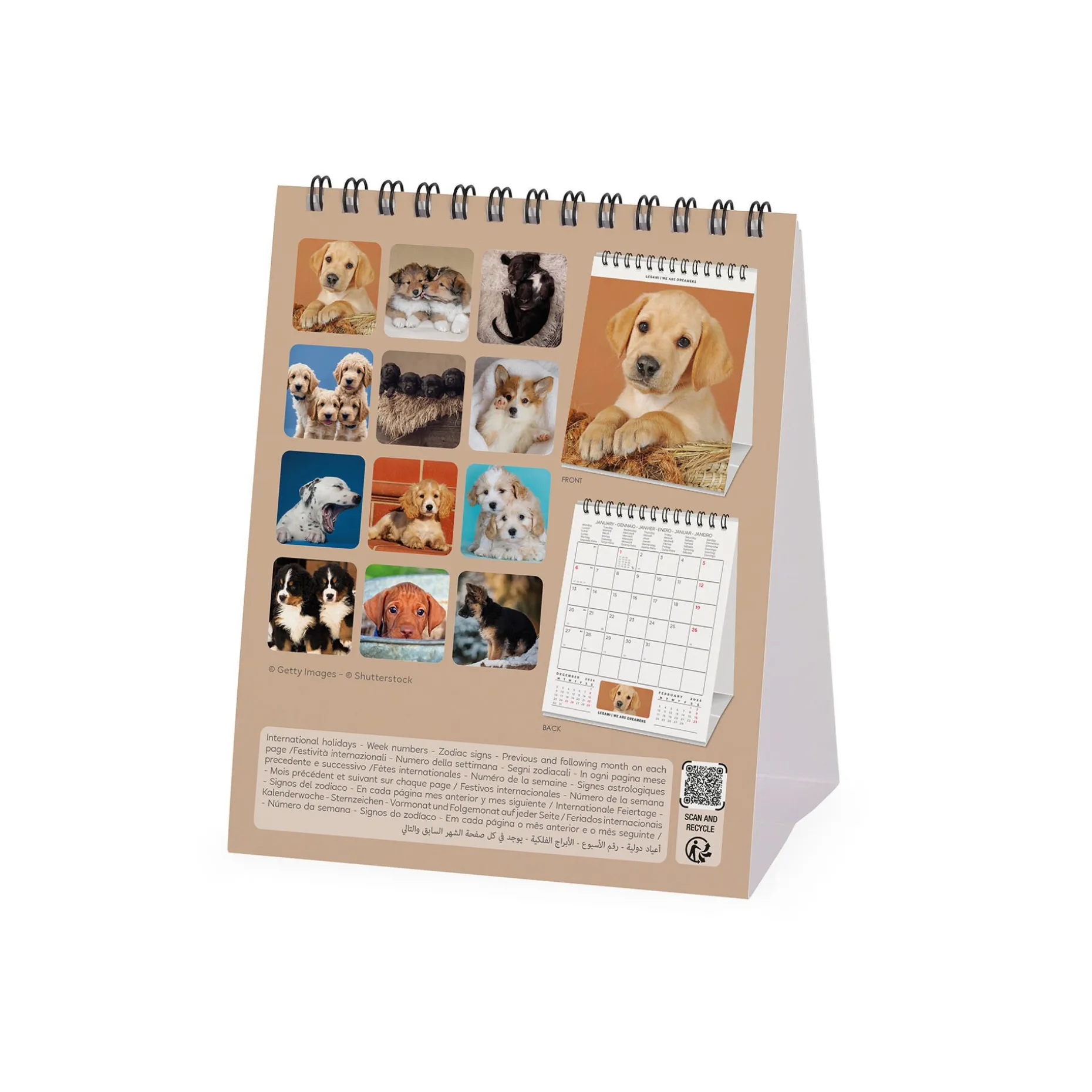 Calendrier de Table 2025 - 12 x 14,5 cm