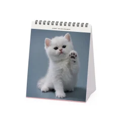 Calendrier de Table 2025 - 12 x 14,5 cm