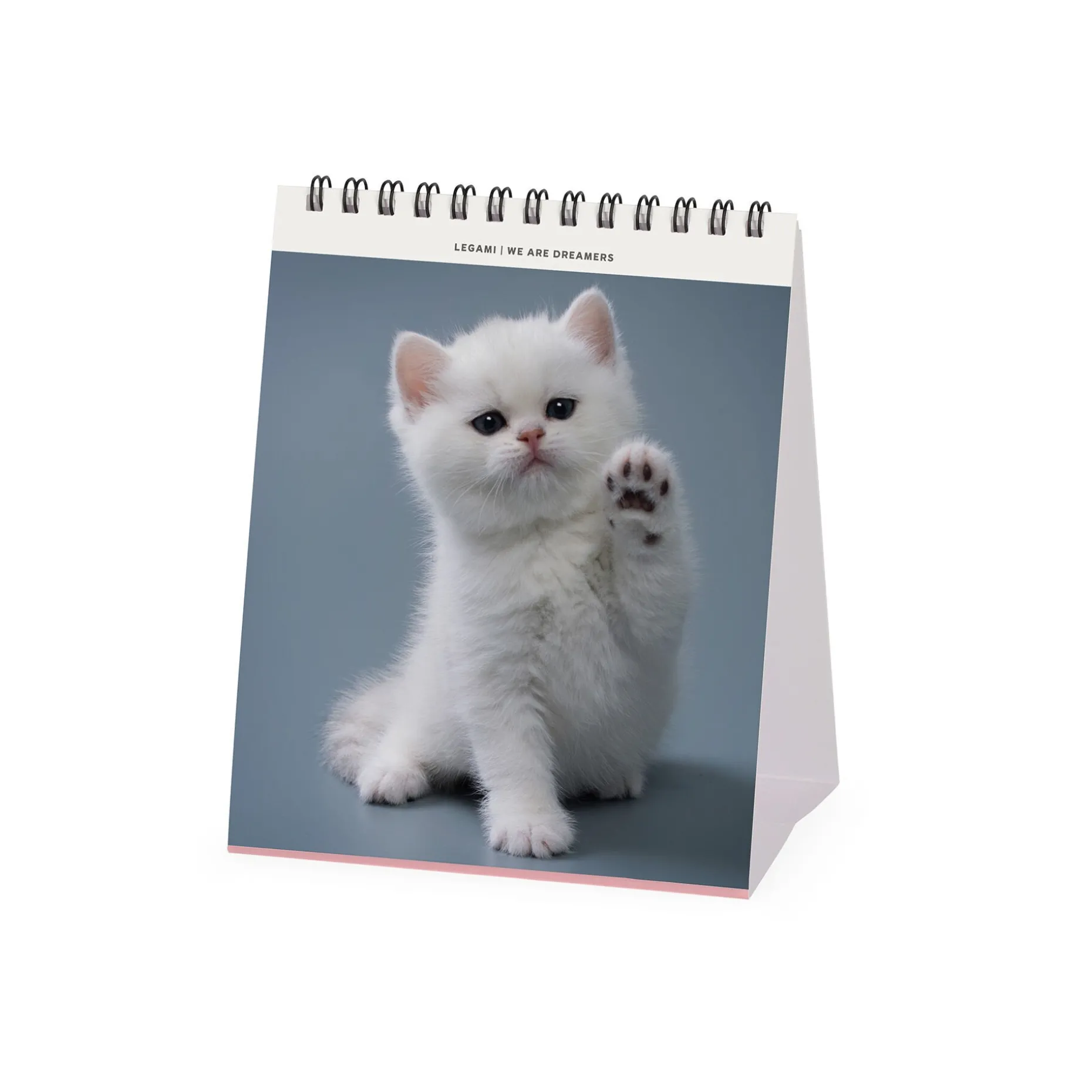 Calendrier de Table 2025 - 12 x 14,5 cm