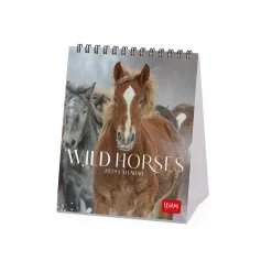 Calendrier de Table 2025 - 12 x 14,5 cm