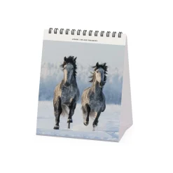 Calendrier de Table 2025 - 12 x 14,5 cm