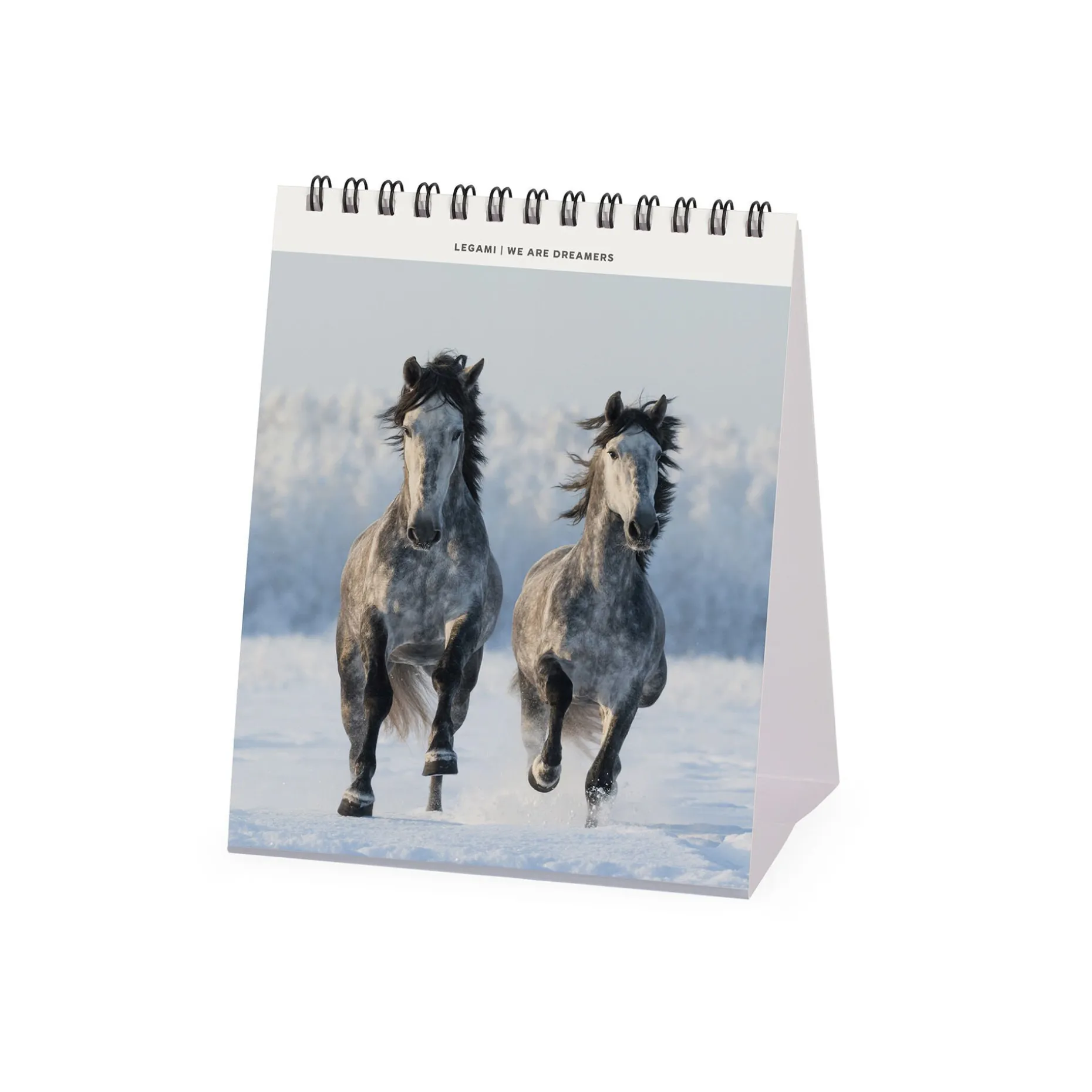 Calendrier de Table 2025 - 12 x 14,5 cm
