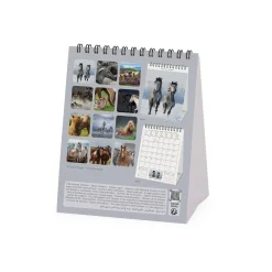 Calendrier de Table 2025 - 12 x 14,5 cm
