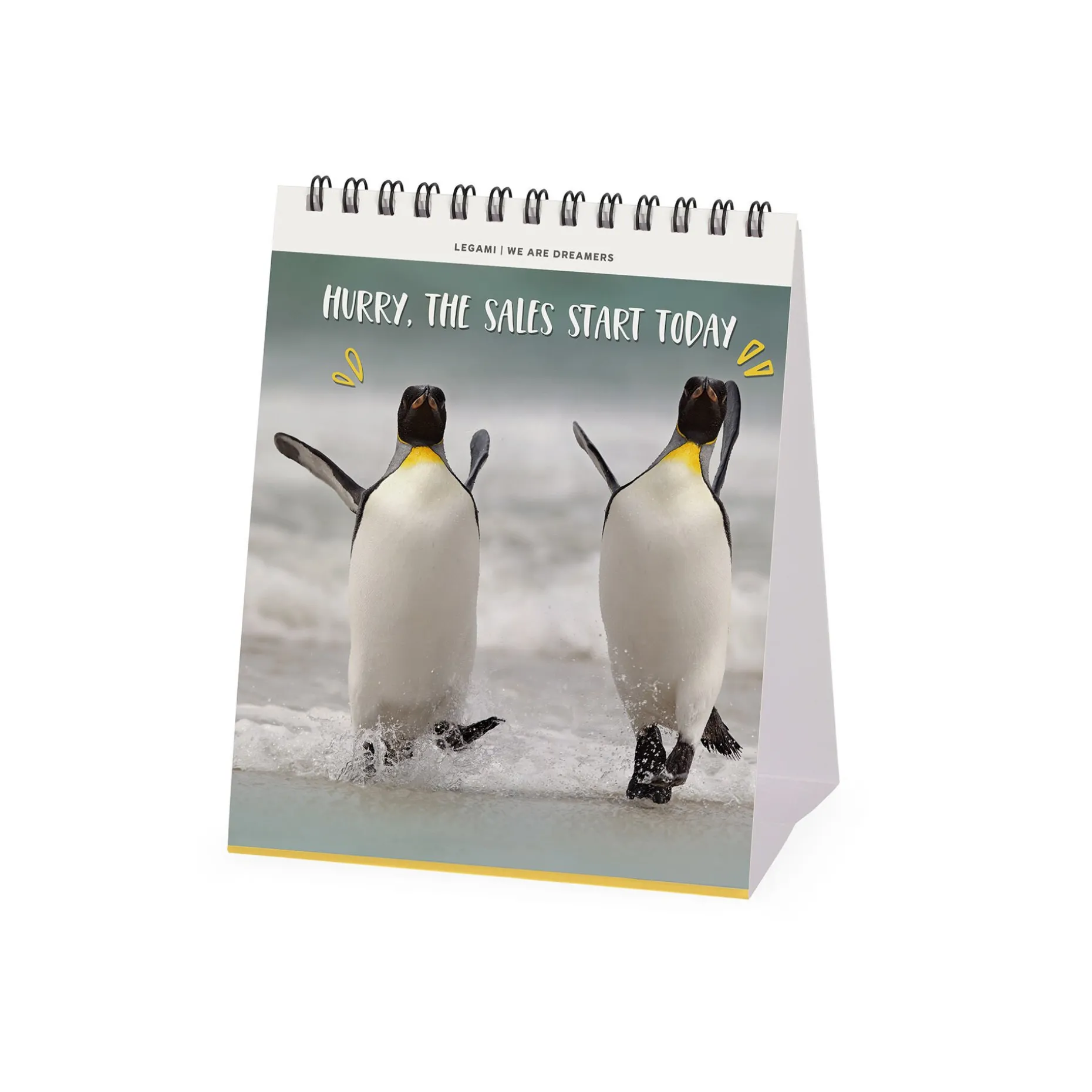 Calendrier de Table 2025 - 12 x 14,5 cm