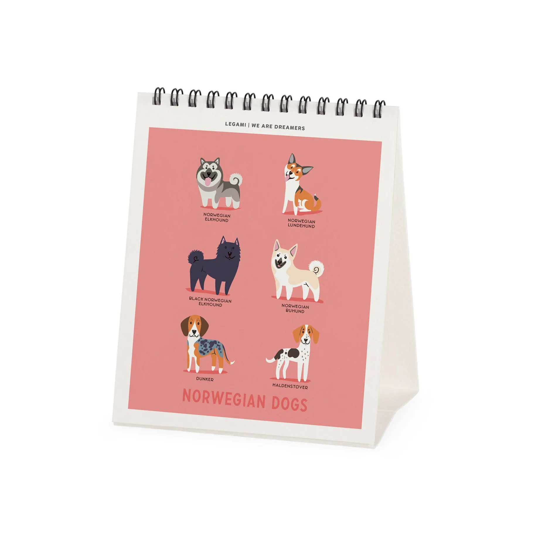 Calendrier de Table 2025 - 12 x 14,5 cm