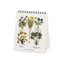 Calendrier de Table 2025 - 12 x 14,5 cm