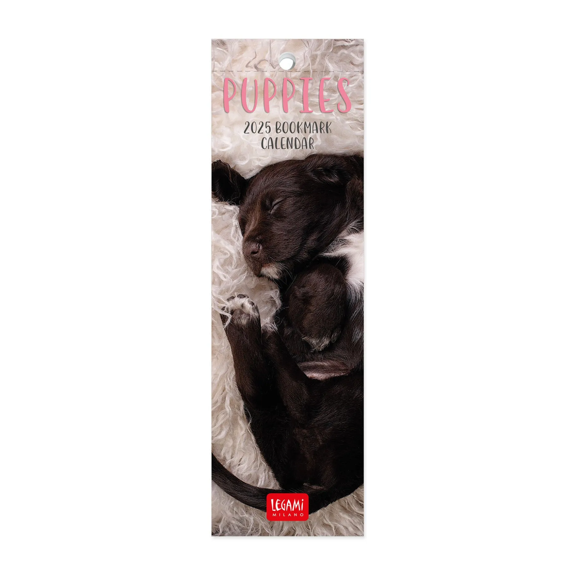 Calendrier Marque-Page 2025 - 5,5 x 18 cm