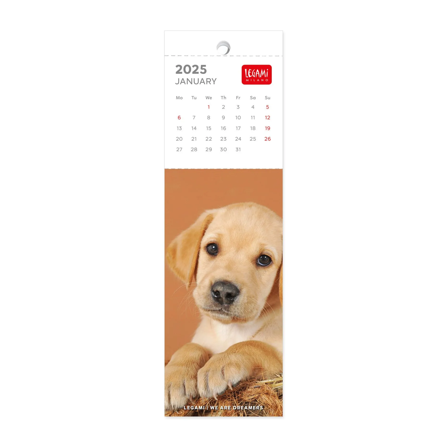 Calendrier Marque-Page 2025 - 5,5 x 18 cm