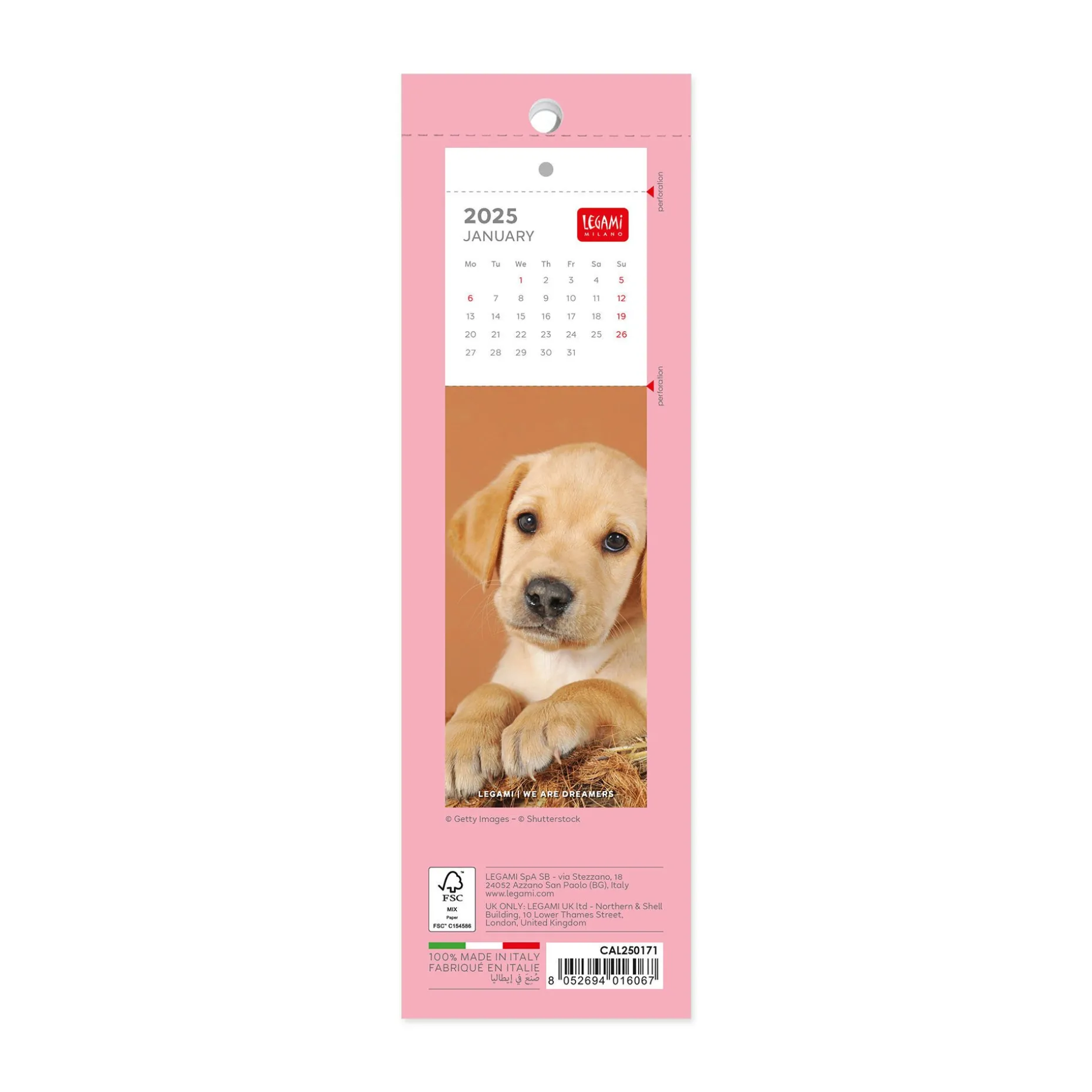 Calendrier Marque-Page 2025 - 5,5 x 18 cm