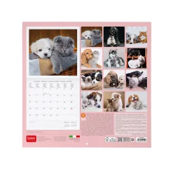 Calendrier Mural 2025 - 30 x 29 cm