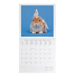 Calendrier Mural 2025 - 30 x 29 cm