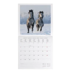 Calendrier Mural 2025 - 30 x 29 cm