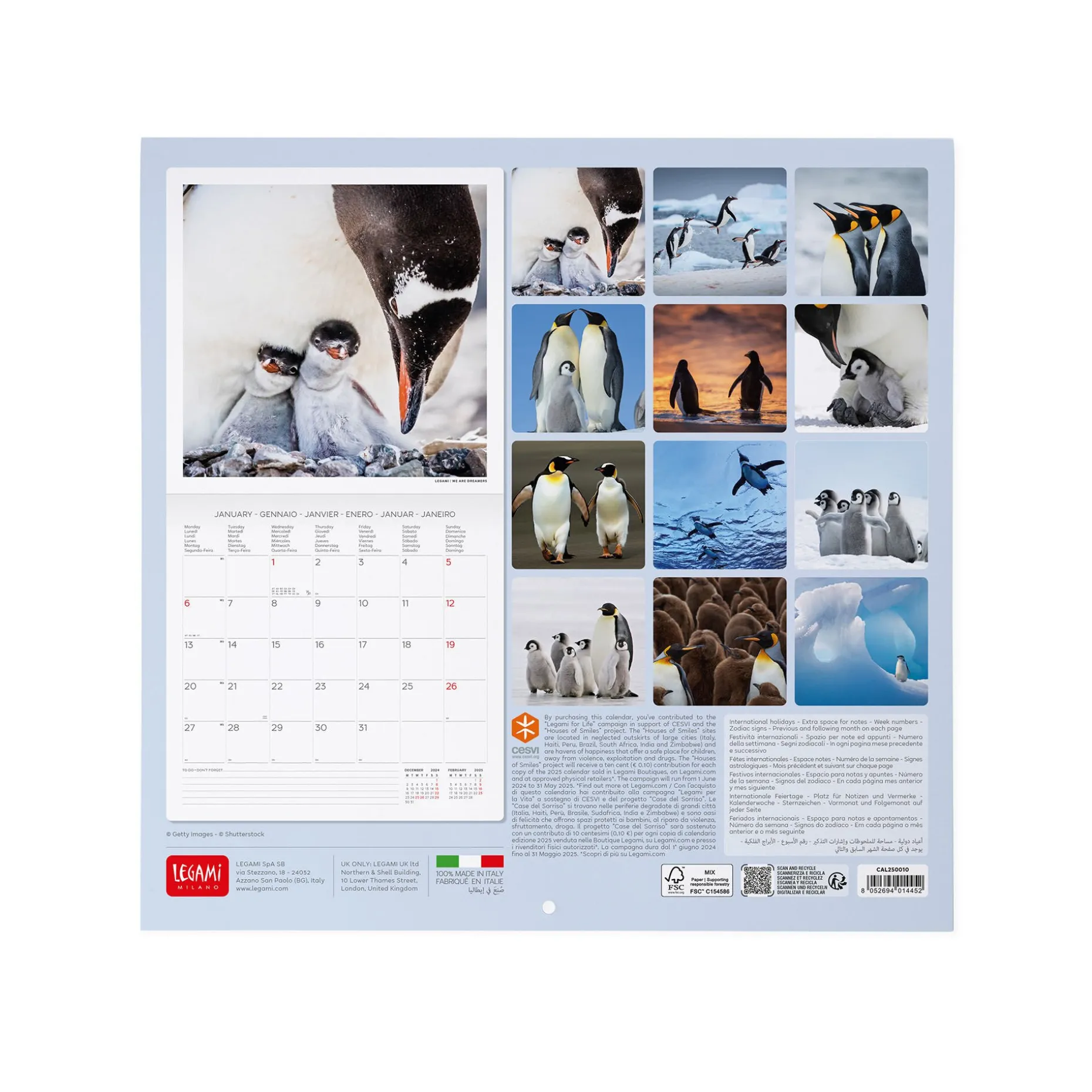 Calendrier Mural 2025 - 30 x 29 cm