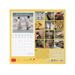 Calendrier Mural 2025 - 30 x 29 cm