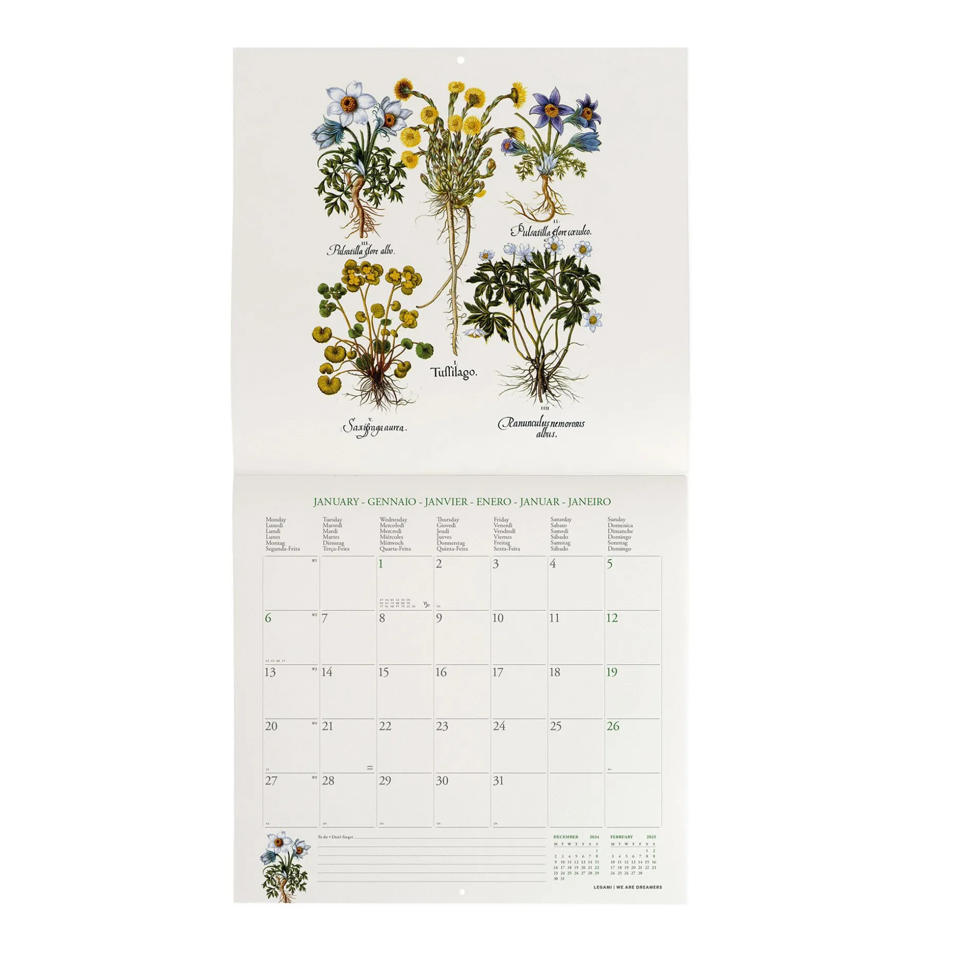 Calendrier Mural 2025 - 30 x 29 cm