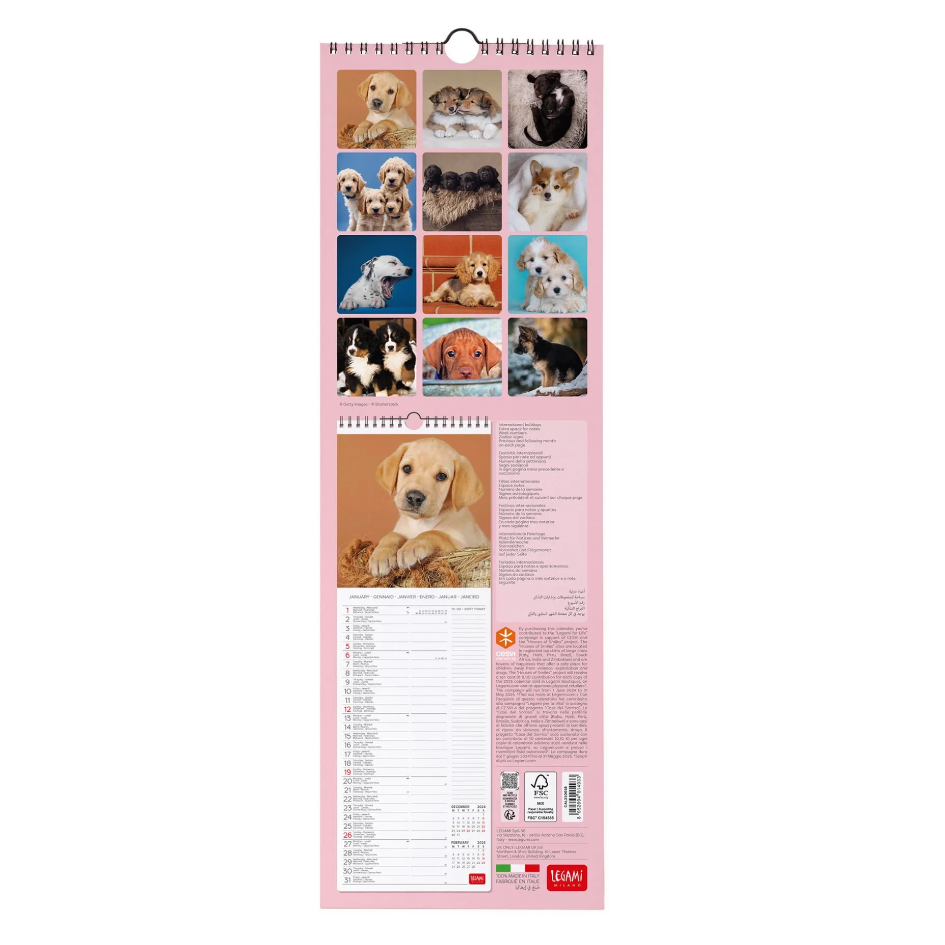 Calendrier Mural 2025 - 16 x 49 cm