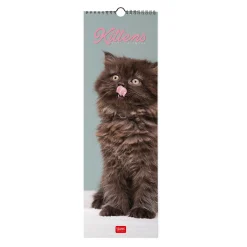 Calendrier Mural 2025 - 16 x 49 cm