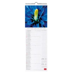 Calendrier Mural 2025 - 16 x 49 cm