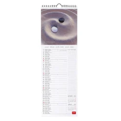 Calendrier Mural 2025 - 16 x 49 cm
