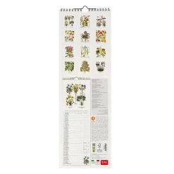 Calendrier Mural 2025 - 16 x 49 cm
