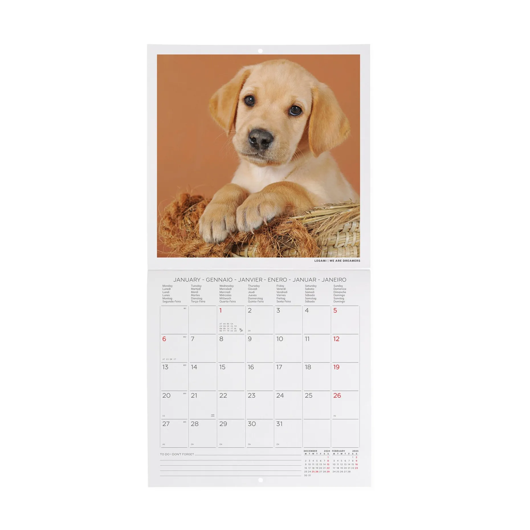 Calendrier Mural 2025 - 18 x 18 cm