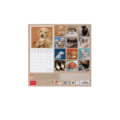 Calendrier Mural 2025 - 18 x 18 cm