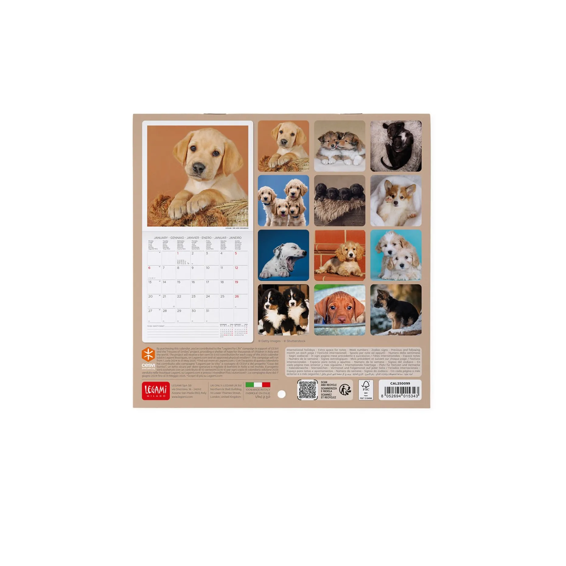 Calendrier Mural 2025 - 18 x 18 cm