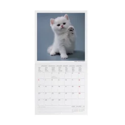 Calendrier Mural 2025 - 18 x 18 cm